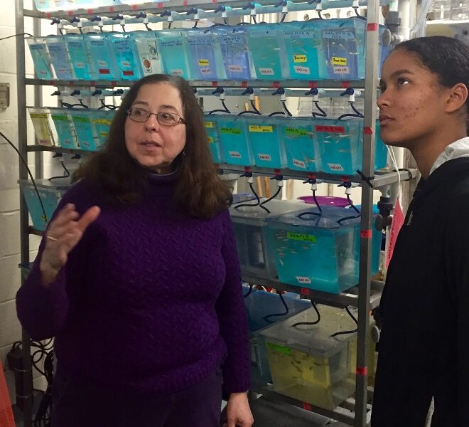 Sustainable Tour Fall River at the lab